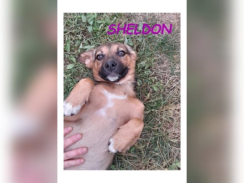 Dringend PFLEGESTELLEN gesucht!