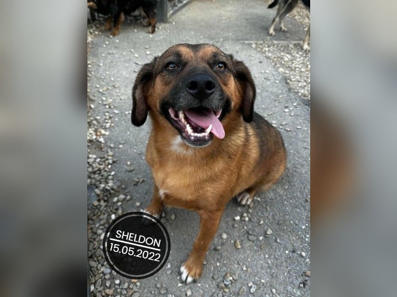 Dringend PFLEGESTELLEN gesucht!