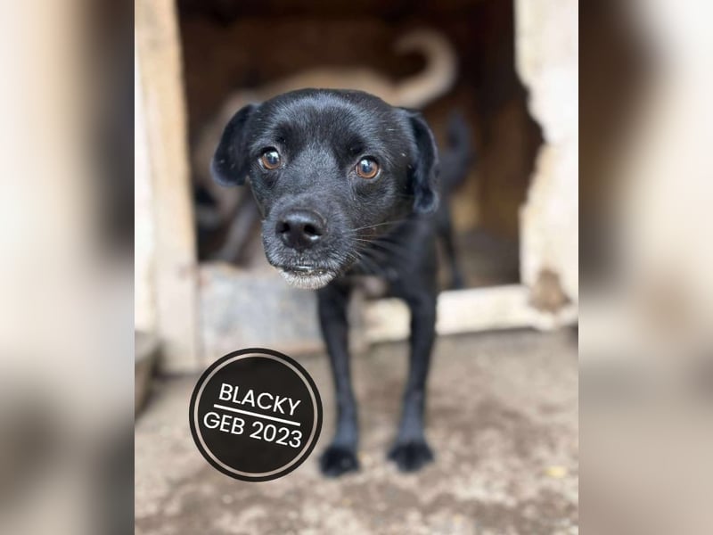 Dringend PFLEGESTELLEN gesucht!