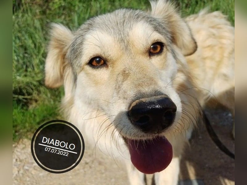 Dringend PFLEGESTELLEN gesucht!