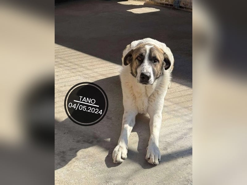 Dringend PFLEGESTELLEN gesucht!