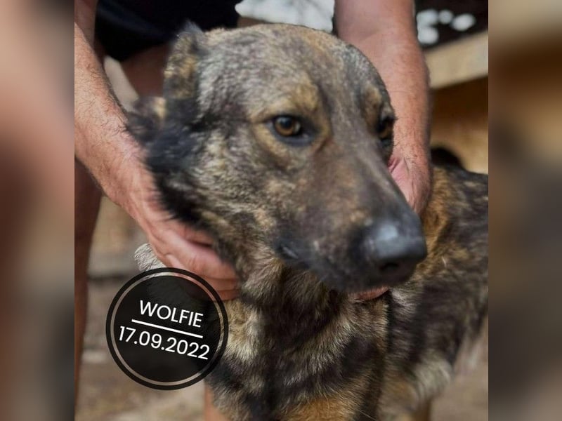 Dringend PFLEGESTELLEN gesucht!