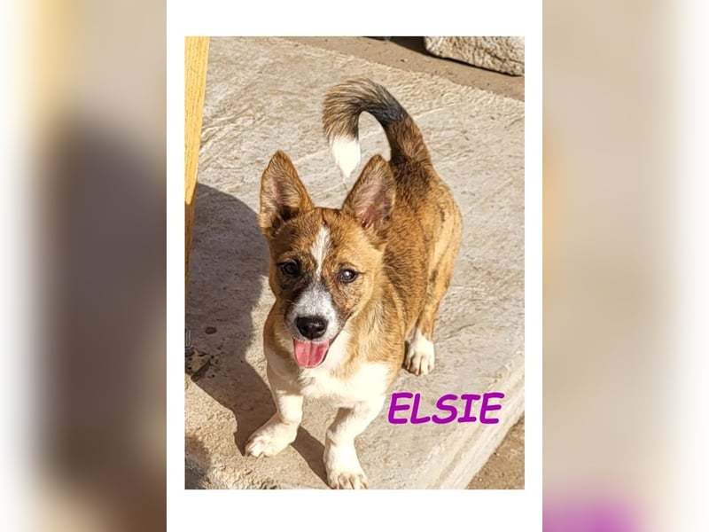 Dringend PFLEGESTELLEN gesucht!