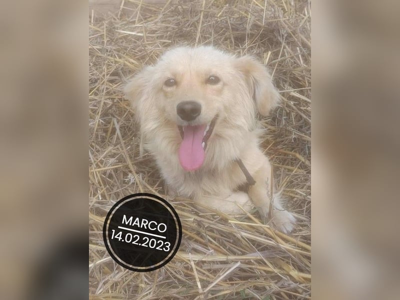 Dringend PFLEGESTELLEN gesucht!