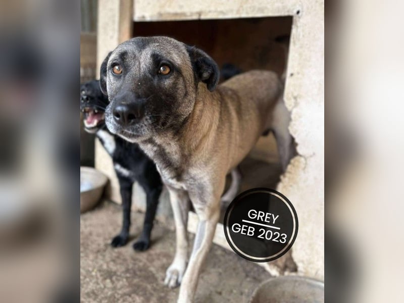 Dringend PFLEGESTELLEN gesucht!