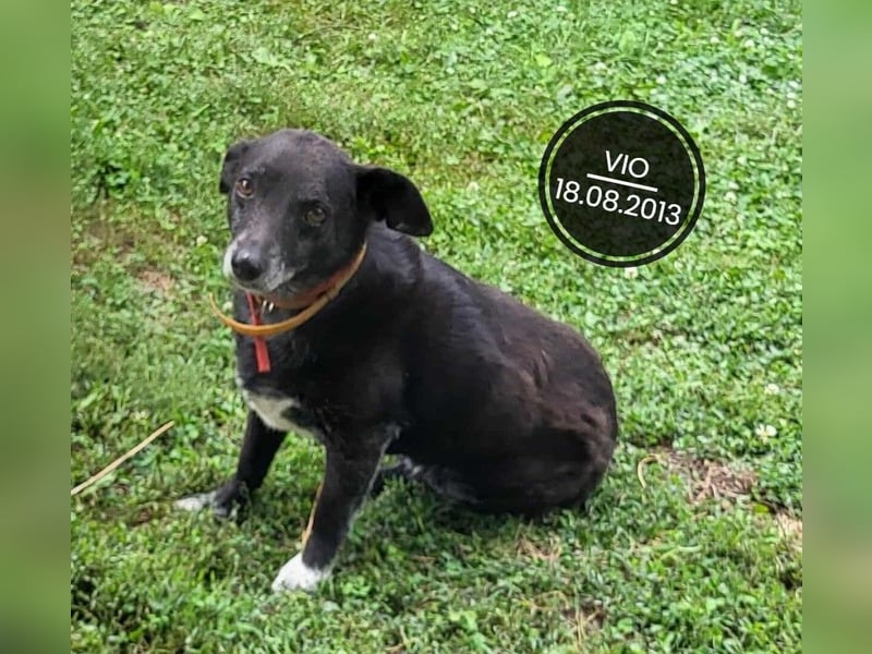 Dringend PFLEGESTELLEN gesucht!