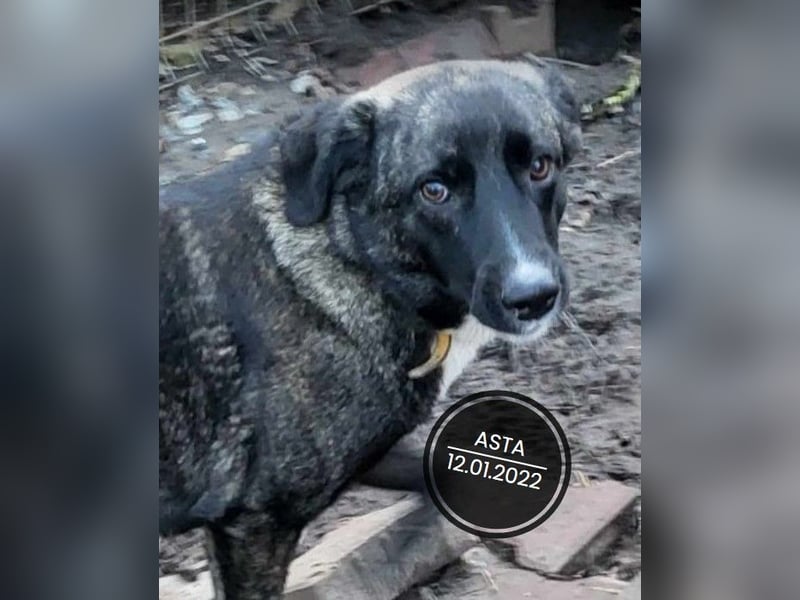 Dringend PFLEGESTELLEN gesucht!