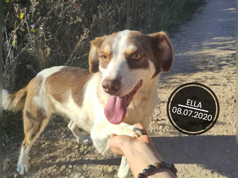 Dringend PFLEGESTELLEN gesucht!