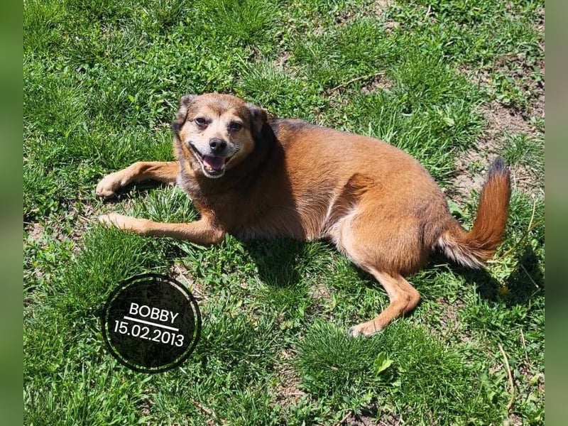 Dringend PFLEGESTELLEN gesucht!