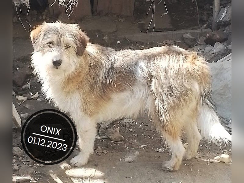 Dringend PFLEGESTELLEN gesucht!