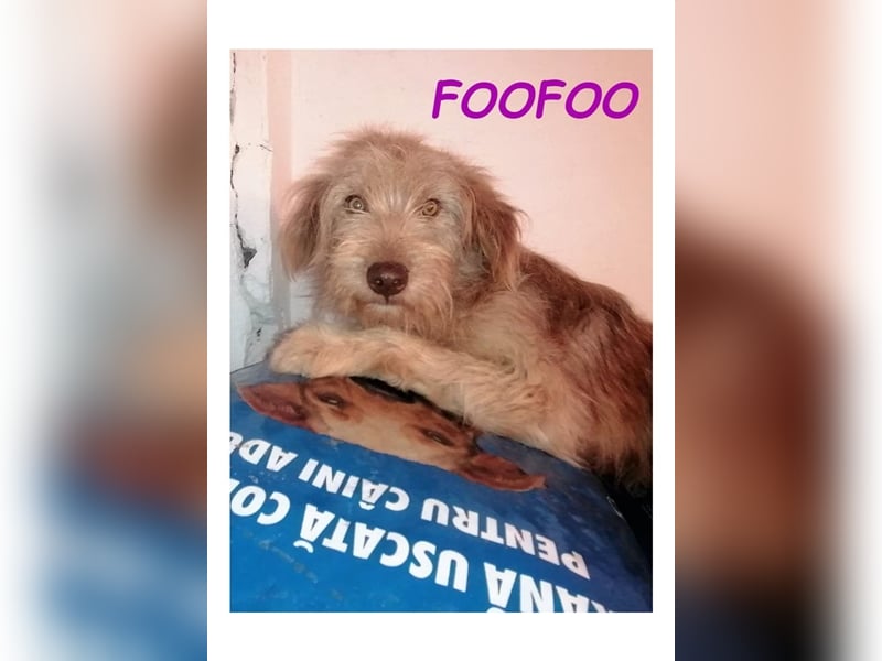 Dringend PFLEGESTELLEN gesucht!