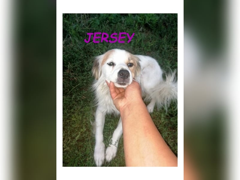 Dringend PFLEGESTELLEN gesucht!