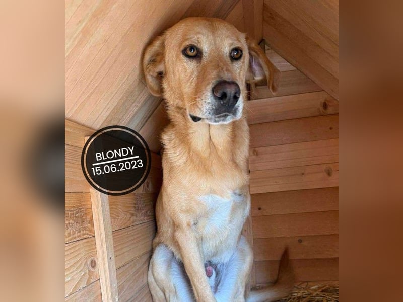 Dringend PFLEGESTELLEN gesucht!