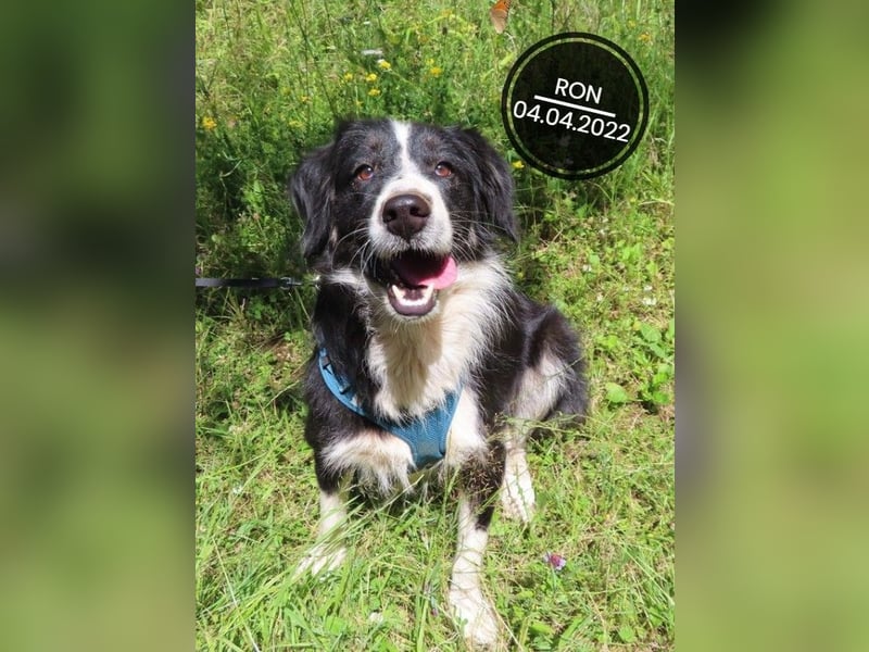 Dringend PFLEGESTELLEN gesucht!