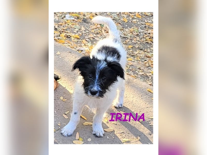 Dringend PFLEGESTELLEN gesucht!