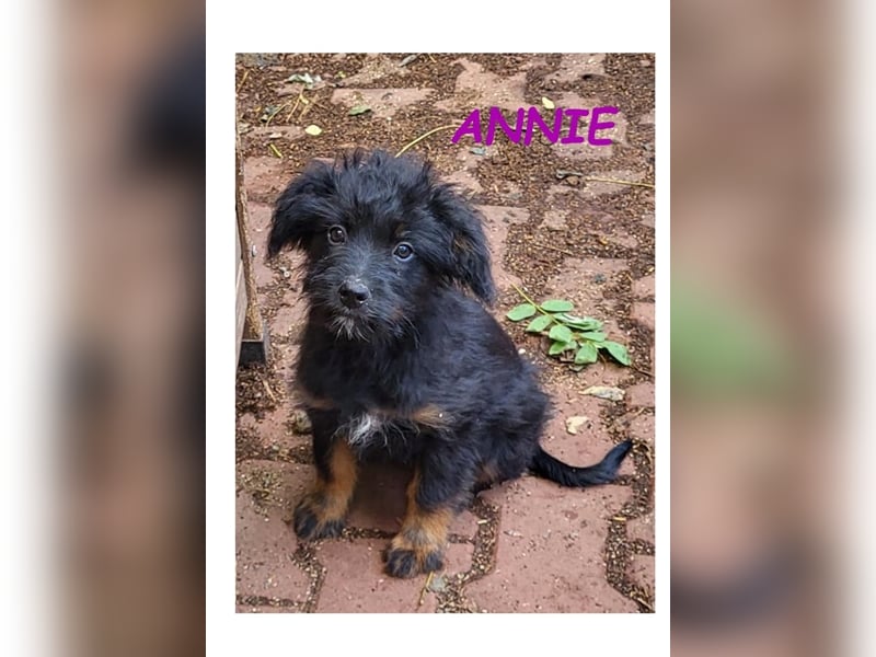 Dringend PFLEGESTELLEN gesucht!