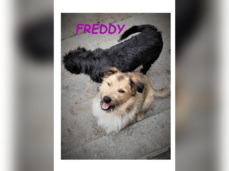 Dringend PFLEGESTELLEN gesucht!