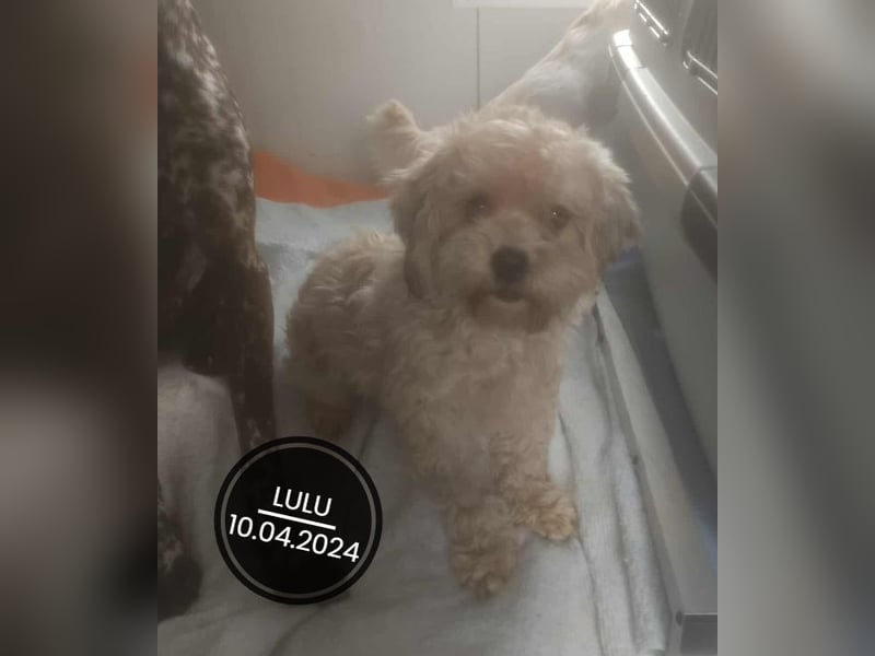 Dringend PFLEGESTELLEN gesucht!