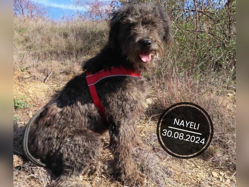 Dringend PFLEGESTELLEN gesucht!