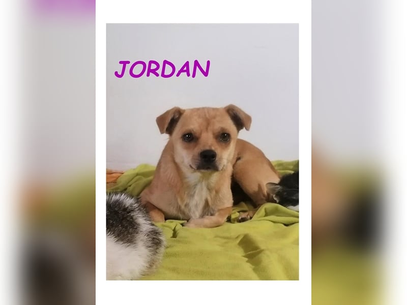 Dringend PFLEGESTELLEN gesucht!