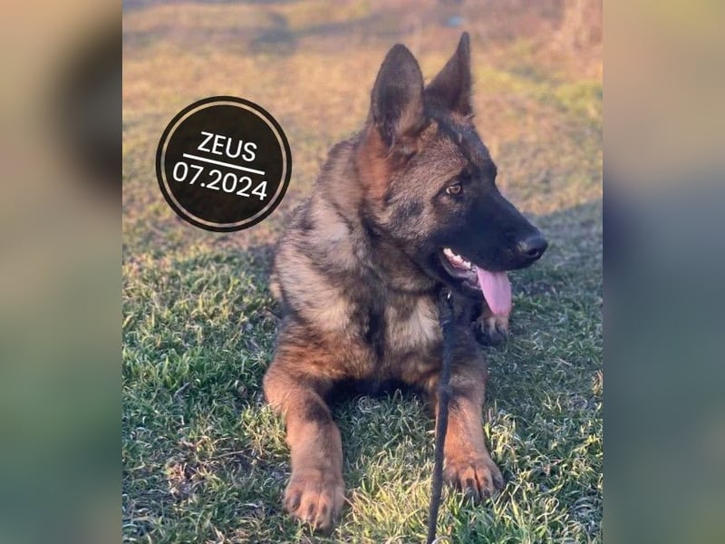 Dringend PFLEGESTELLEN gesucht!