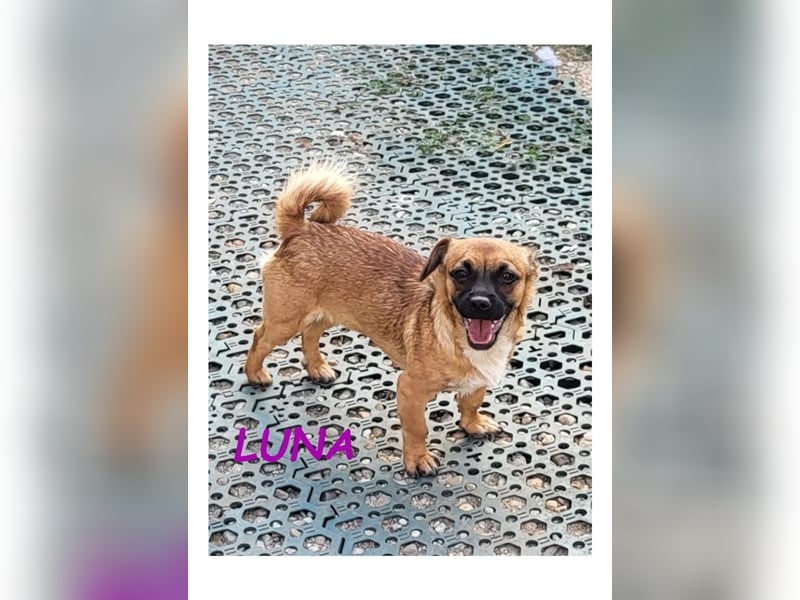 Dringend PFLEGESTELLEN gesucht!