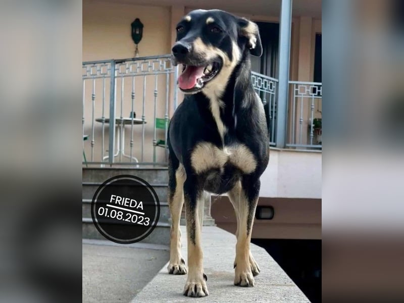 Dringend PFLEGESTELLEN gesucht!