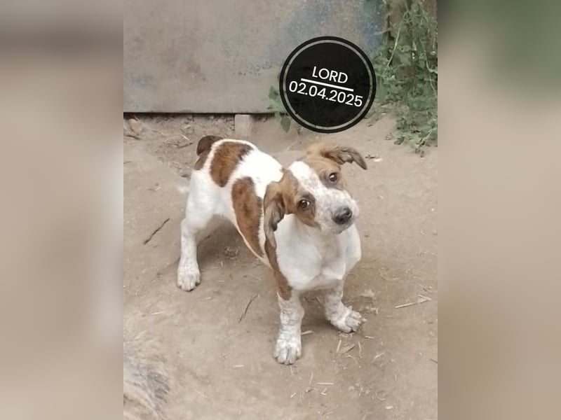 Dringend PFLEGESTELLEN gesucht!