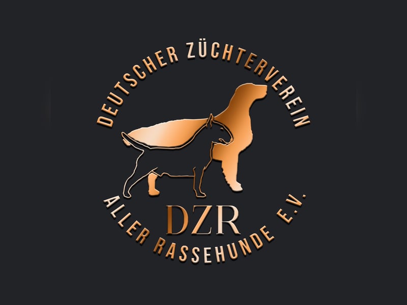 DZR e.V. Aktion 2025