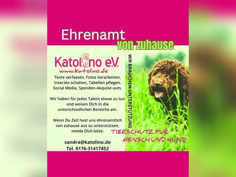 Ehrenamtliche Helfer gesucht!