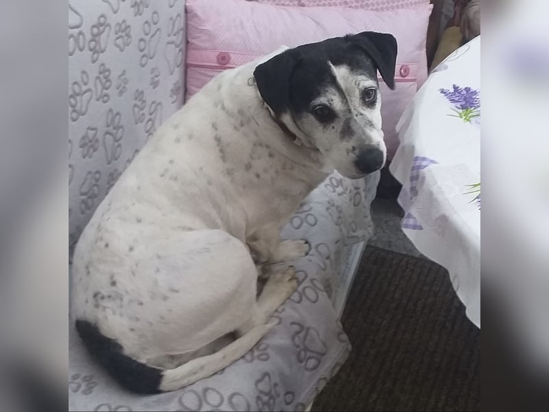 Dona eine liebe Knutschkugel