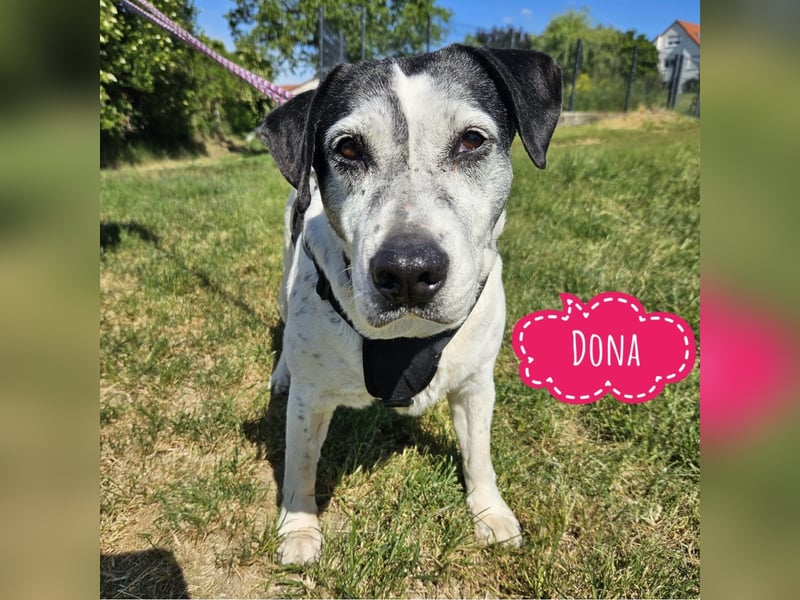 Dona eine liebe Knutschkugel