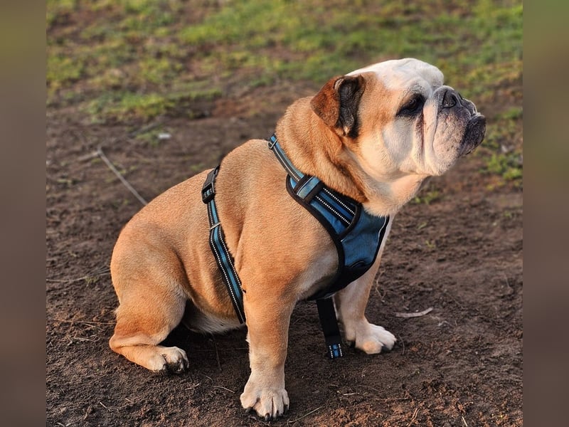 Debby ist freundlich und selbstbewusst