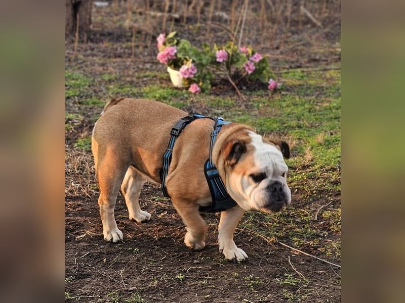 Debby ist freundlich und selbstbewusst