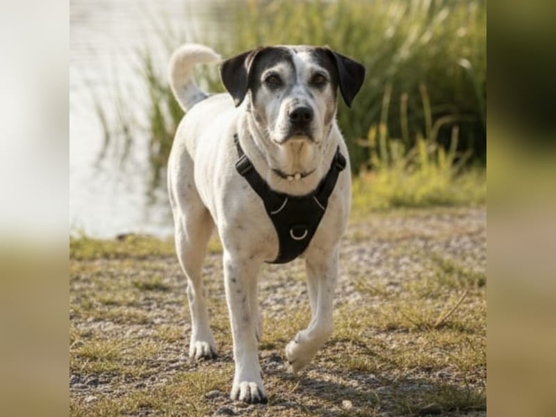 Dona - die wundervolle