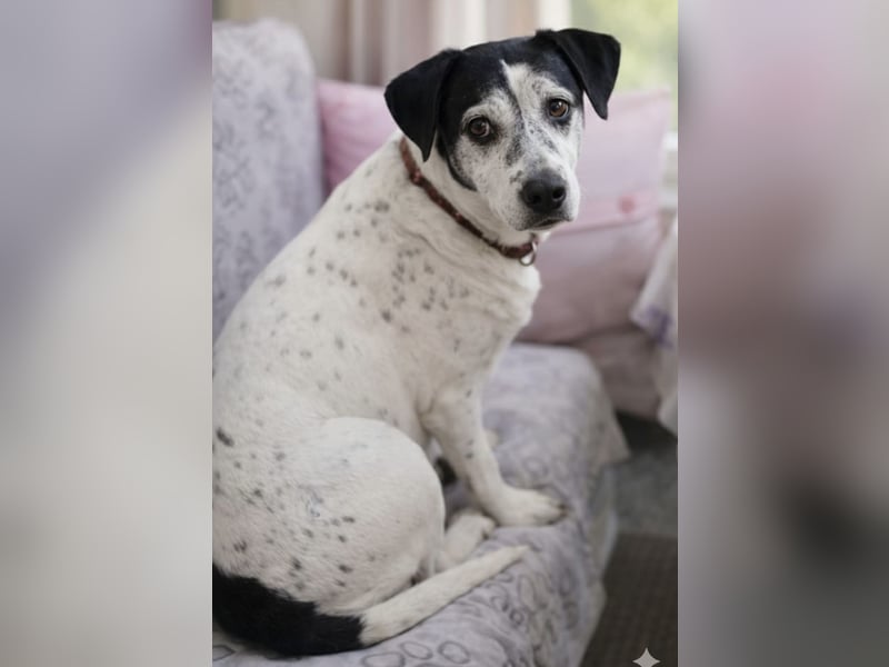 Dona - die wundervolle