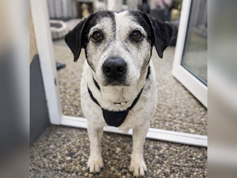 Dona - die wundervolle