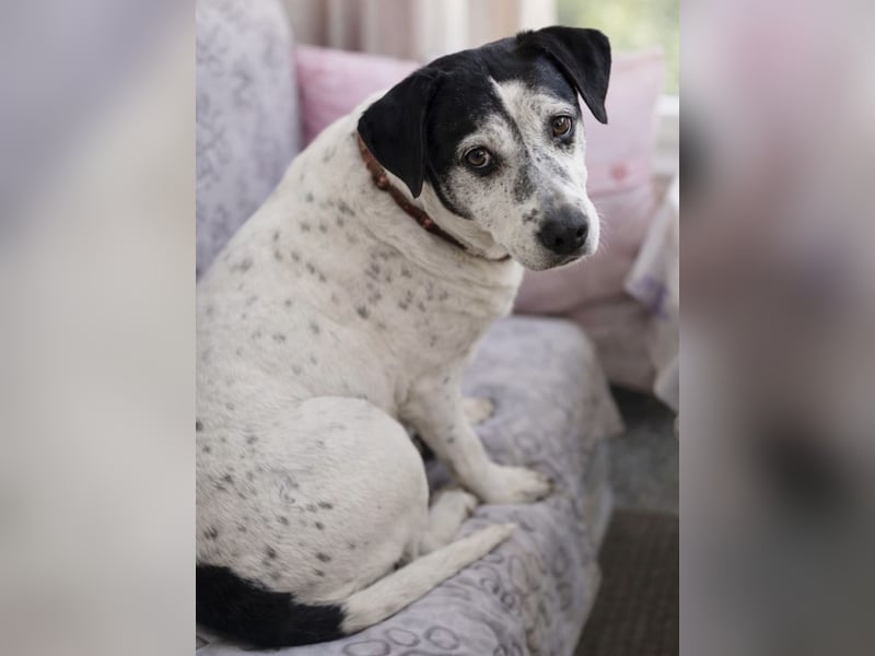 Dona - die wundervolle