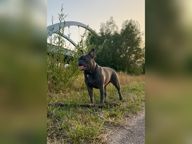 Erna sucht ihr zu Hause für immer