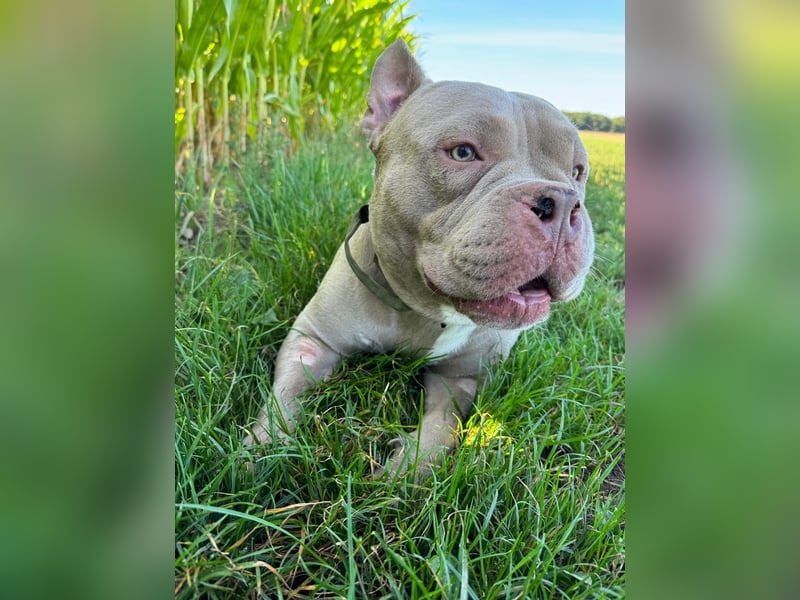 Pablo möchte endlich ankommen