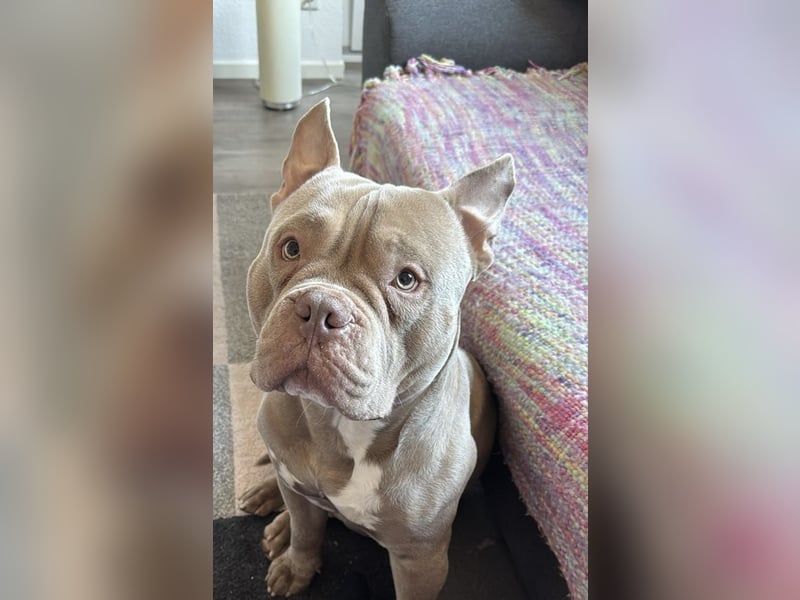 Pablo möchte endlich ankommen