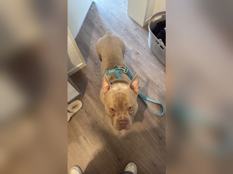 Pablo möchte endlich ankommen