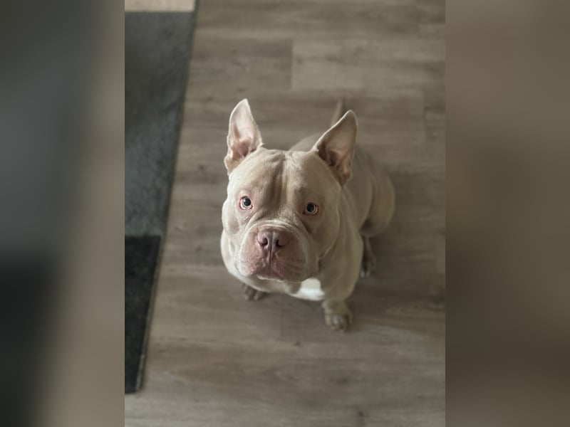 Pablo möchte endlich ankommen