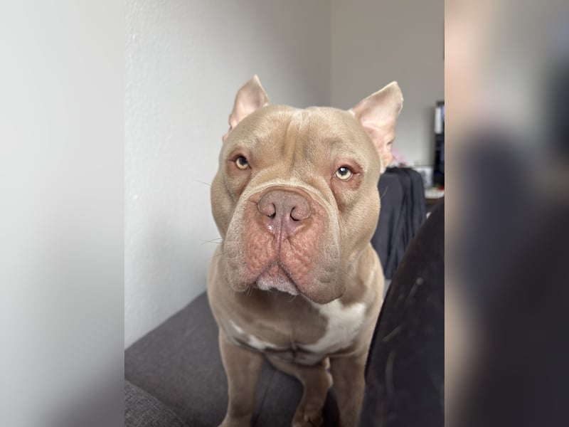 Pablo möchte endlich ankommen