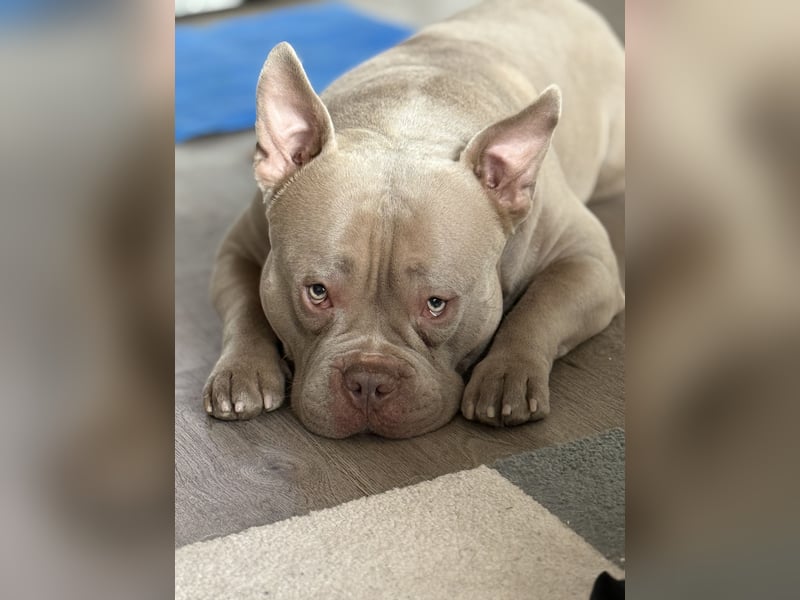 Pablo möchte endlich ankommen