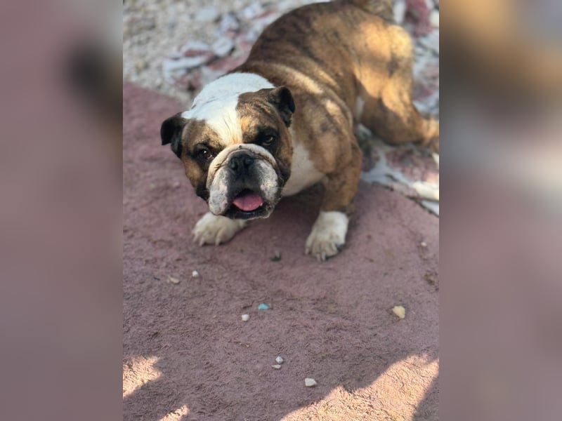 Notfall Manolo hofft auf seine Chance