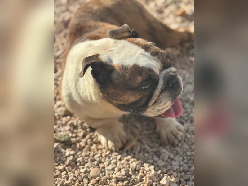 Notfall Manolo hofft auf seine Chance