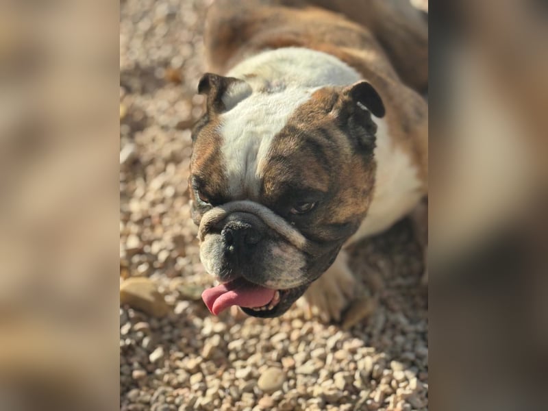 Notfall Manolo hofft auf seine Chance