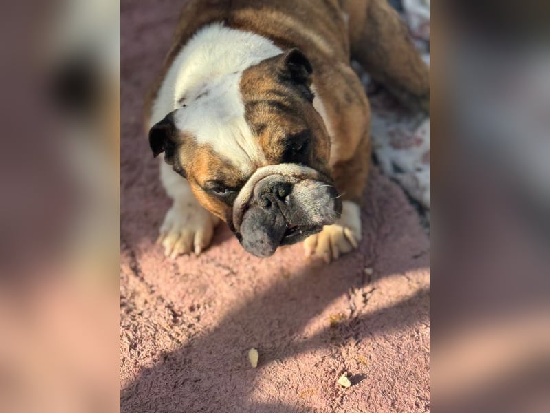 Notfall Manolo hofft auf seine Chance