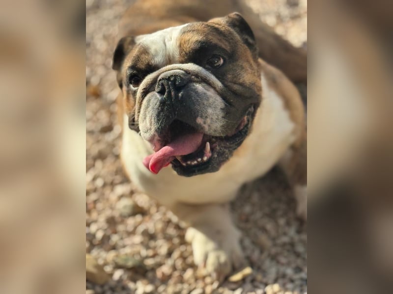 Notfall Manolo hofft auf seine Chance